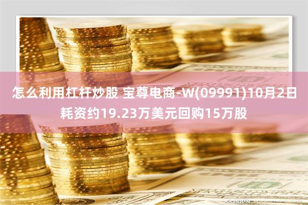 怎么利用杠杆炒股 宝尊电商-W(09991)10月2日耗资约19.23万美元回购15万股