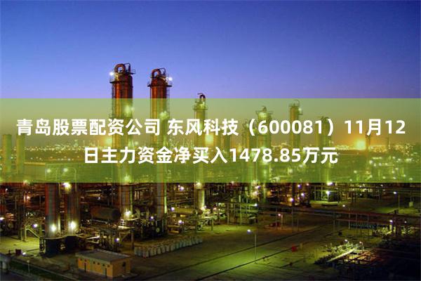 青岛股票配资公司 东风科技（600081）11月12日主力资金净买入1478.85万元